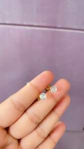 Perhiasan Anting Titanium Lapis Emas Gold CXA31