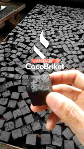 Briket Arang Batok Kelapa Bentuk Kubus 1 Kg