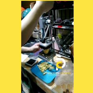 FRENCH FRIES MACHINE / POTATO FRIES CUTTER /