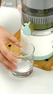 电动橙汁机 (1套)