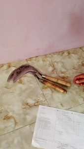 Arit Rumput Sabit Padi & Rumput Liar Asli Garut Jawa Barat Pinising Halus untuk Pertanian