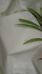 BAHAN KAIN ANTI AIR WATERPROOF TASLAN BALON WARNA PUTIH TULANG ANTI ANGIN KUALITAS PREMIUM IMPORT LEBAR 150 CM