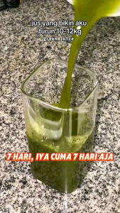 Promo 2 Box - Perpect Plant Probiotik Jus Salad Sayuran Instan Minuman Pelangsing