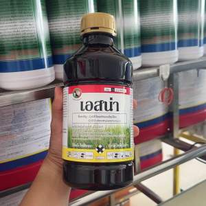 (1 ขวด 5 ไร่ )24-ดี ไดเมทิลแอมโมเนียม (24-D dimethylammonium) เป็นสารกำจัดวัชพืชประเภทดูดซึม ออกฤทธิ์ต่อใบและลำต้นของวัชพืช ทำให้พืชมีการเจริญเติบโตผิดปกติและตายในที่สุด