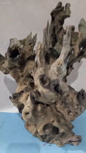 Driftwood for aquarium Solid Madrecacao
