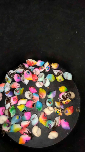 24 cangkang warna&gambar random