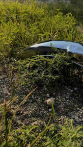 Slebor Belakang GL 100 Full Pres Chrome