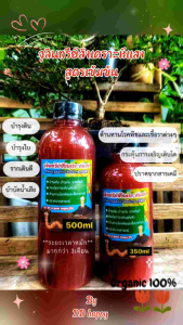 หัวเชื้อจุลินทรีย์สังเคราะห์แสง (สูตรเข้มข้น) PSB 500ml (ใช้บำรุงพืชผักต้นไม้ แข็งแรงโตไว ปรับสภาพดิน บำบัดน้ำเสีย)