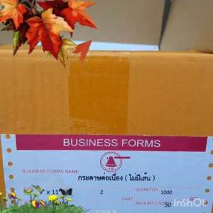 กระดาษต่อเนื่องปอนด์ขาว ขนาด 9 X 11 นิ้ว 2 ชั้น ไม่มีเส้น (1กล่อง / 1000ชุด)