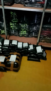 STELAN OLAHRAGA PRINTING SEPAK BOLA DAN FUTSAL MURAH