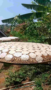 OPAK KETAN MENTAH RASA KELAPA SIAP DIGORENG (100 BIJI)
