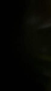 Bendix  Grease NLGI-2 15kg