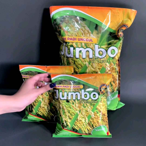 Benih padi HMS 700 Benih padi unggul original jumbo premium benih padi berkualitas