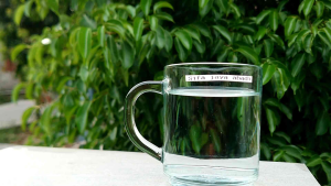 diskon!!!!/gelas kopi polos bening 1pcs/gelas kaca tebal (1pcs)