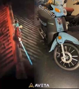 AVETA DY115 STD AND SE MODEL 2025