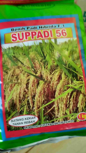 Benih padi HIBRIDA SUPPADI 56 exsp lama ORI