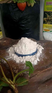 pupuk kelengkeng kemasan 250 gr original non oplos