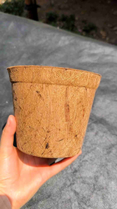 ยกลัง 200 ชิ้น กระถางใยมะพร้าว 5.5 นิ้ว กระถางต้นไม้ กระถางรักษ์โลก กระถาง ใยมะพร้าว 6 นิ้ว โปรแกรมสำหรับการผ่าตัด ผู้ใช้งานประสบการณ์