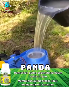 ( Beli 3 gratis 1 )Kill Grass Panda Herbicida 100% Organik/ penghilang gulma dan hama tanaman