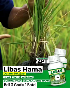 Terlaris: Beli 3 Gratis 1 Botol Pupuk Libas Pembasmi Hama & Bakteri Tanaman