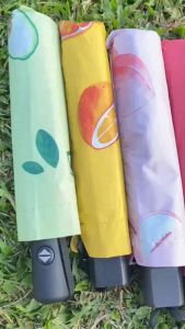 ร่มกันฝน Umbrella ร่มกันแดด ร่มกัน UV ร่มกันยูวี ร่มพับได้ ร่มแคปซูล ร่มแฟชั่น ร่มพาย พกพาง่าย ร่มเด็กพับได้ น้ำหนักเบา ลายน่ารัก ร่มโปโล ร่มระมัดร่มยุกต่อเนื่อง บริษัทชูซี่