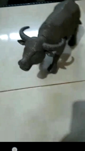 Mainan Anak Kerbau Nyala: Pilihan Mainan Edukatif & Interaktif