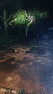 2Pcs Lampu Laser Foglamp D 2 Super Terang 2 Warna Putih - Kuning High Low