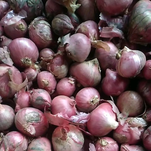 Promo/COD 1Kg Bumbu Rempah Bawang Merah UMKM Lokal