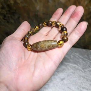 Gegegems Creation Tibetan Shankha fossil Natural Eyes Dzi with 10mm Bronzite & Smoky Quartz Om Mani Padme Hum bracelet 藏传天眼法螺天珠茶晶六字真言古铜輝石手链