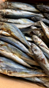 Ikan Asin Layang & Ikan Asin Klotok: Cara Membuat dan Menyajikan