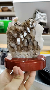 Natural Brazil Collection Skeletal Alligator Smoky Quartz Crystal Ornament SK04