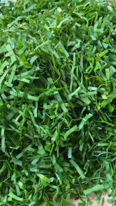 Daun pandan iris segar 200 gram-az