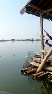 BAHAN JORAN VIBER ISI LENTUR JORAN LENTUD/TIMBNG BAHAN JORAN PANCING UDANG VIBER JORAN KUAT FIBER JORAN LENTUR BAHAN JORAN PANCING