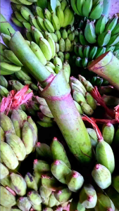 Sale Honey Legit berat 500gr Rasa Manis Enak Dan Lezat