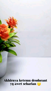 Beli 2 Dapatkan 1 Gratis: Deodorant Tawas 100ml Penghilang Bau Badan