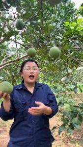 Dầu xả Bưởi dừa dầu xả thảo mộc yêu thiên nhiên giúp kích thích mọc tóc giảm rụng tóc tóc suôn mềm mượt - Ý Linh Store