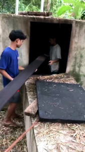 HARDWOOD MAHOGANY PLANK - Bodega Home Decors (Kiln Dried)