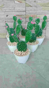 Kaktus Mickey Mouse & Bunga Artificial: Dekorasi Interior yang Cantik