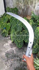 SBL M222A G222 PRO: Aksesoris Peralatan Panen Sawit Original Malaysia