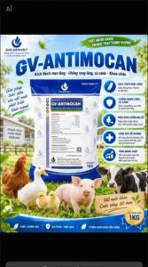 GV - Antimocan Mọc lông nhanh chống cắn mổ