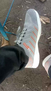 Sepatu Sneakers Olahraga Pria Fashion RW Terbaru