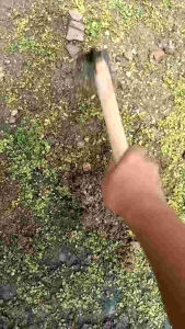 Cangkul Mini Berkebun & Cangkul Baja: Pilihan Terbaik untuk Tanah & Rumput Liar