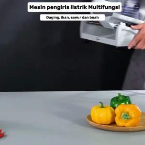 Meat Slicer Mesin Pengiris Daging Otomatis 10inch Food Slicer 250 ORI