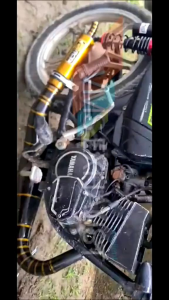 KNALPOT KOLONG KOBRA RCB BELANG EMAS