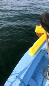 Joran Kyoto Power Rock & Alconite K Guide: Bahan Berkualitas Tinggi & Desain Ergonomis