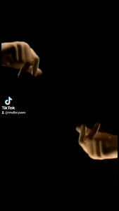 Animal Oxygen System