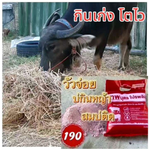 เทพบุตรโปรพลัส อาหารเสริมสัตว์เลี้ยง