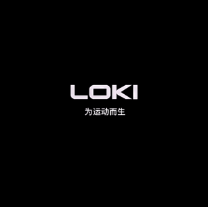 LOKI Professional Pingpong Racket/Table Tennis Racket/