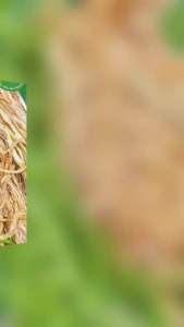 Củ cải khô ngon - sạch (gói 500g) - Ảnh tự chụp