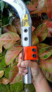 Egrek KLS Palm King Long Original: Produk Asli dengan Kualitas Tinggi & Desain Unik